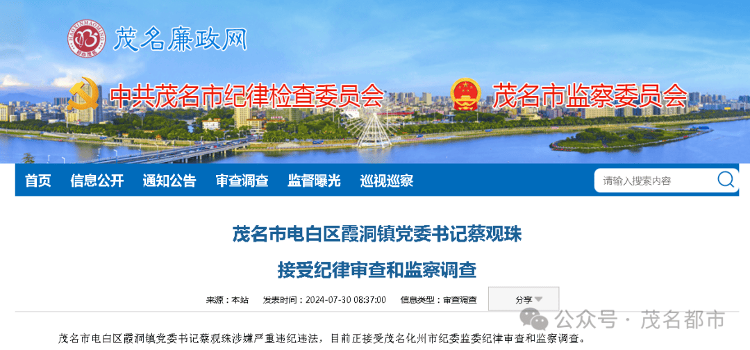 廣東茂名市政府副秘書長投案背后的深度探究與解析