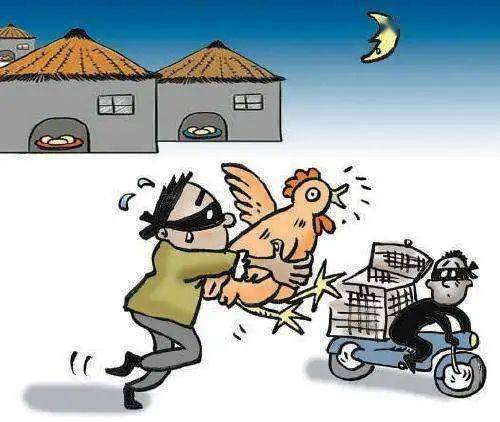 透視偷雞行為的法律與社會(huì)影響，兩人瘋狂作案18次終獲刑