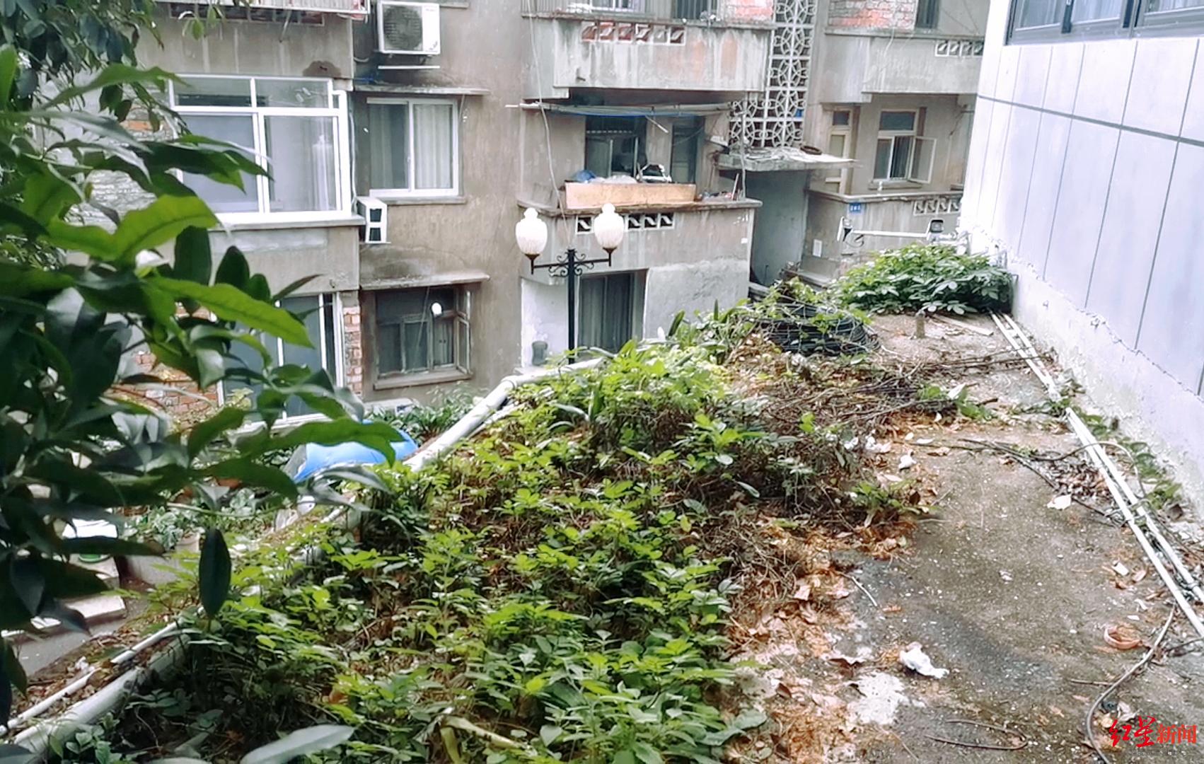 男教師指認(rèn)猥褻現(xiàn)場墜亡事件，反思與警示