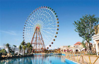 大熊貓麗麗離世，生命的哀歌與永恒紀(jì)念