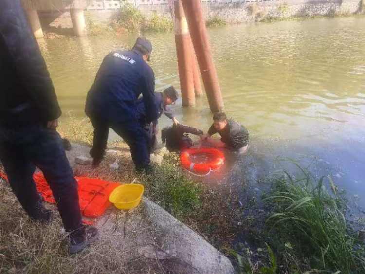 女孩墜河引發(fā)家庭悲劇，母親和哥哥營救溺亡，警醒社會反思時刻