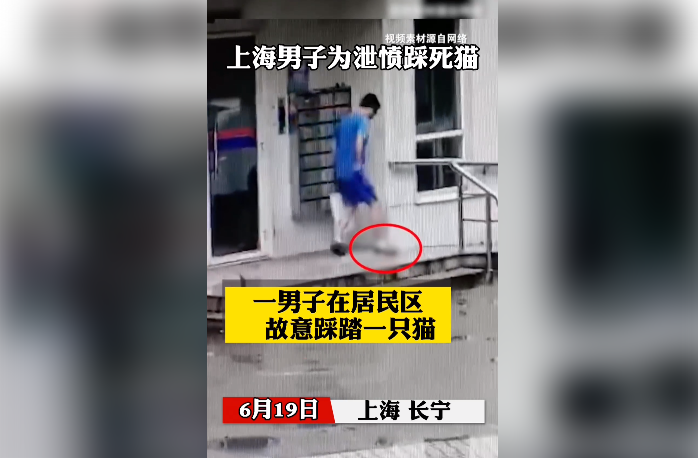 校方回應(yīng)男子偷拍他人洗澡事件，法律與道德的交織審視