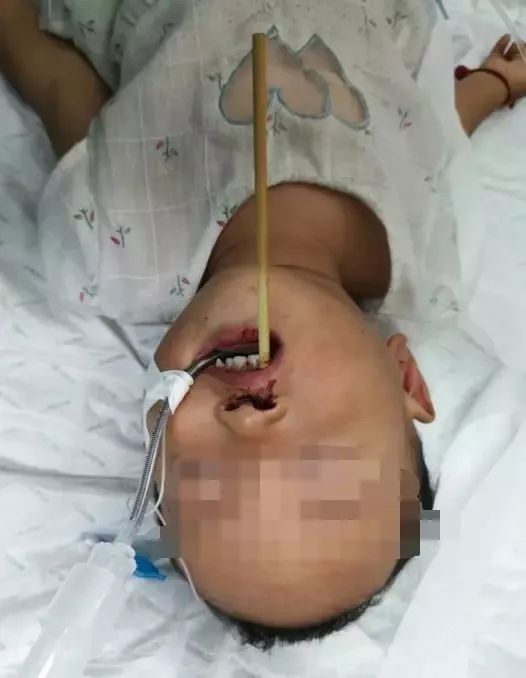 俞輕寒 第19頁(yè)