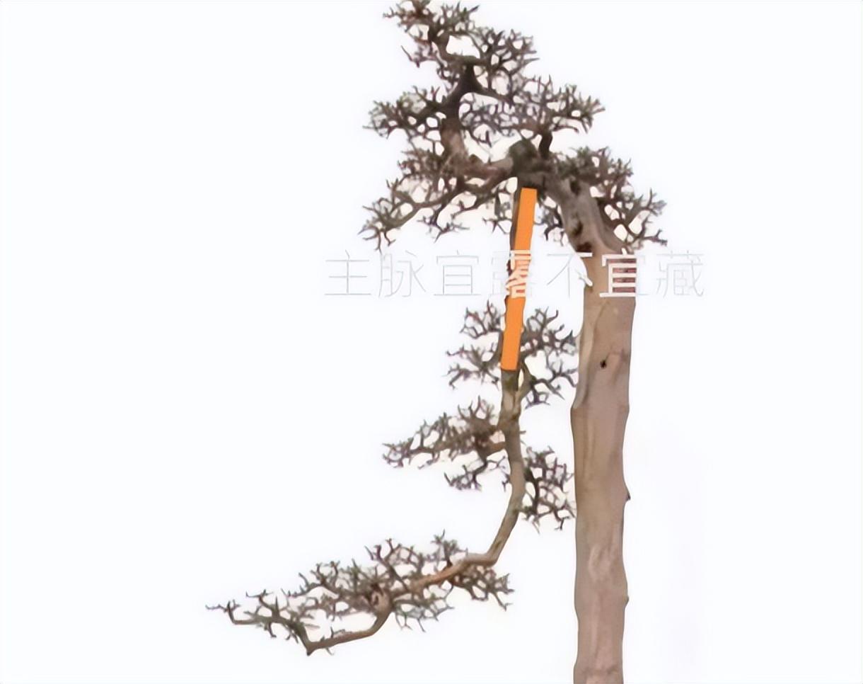 黃金市場持續(xù)下跌背后的專家解讀