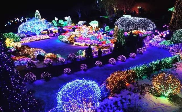 日本夜爽爽一區(qū)二區(qū)三區(qū),智能化流程執(zhí)行_限量版48.09.40