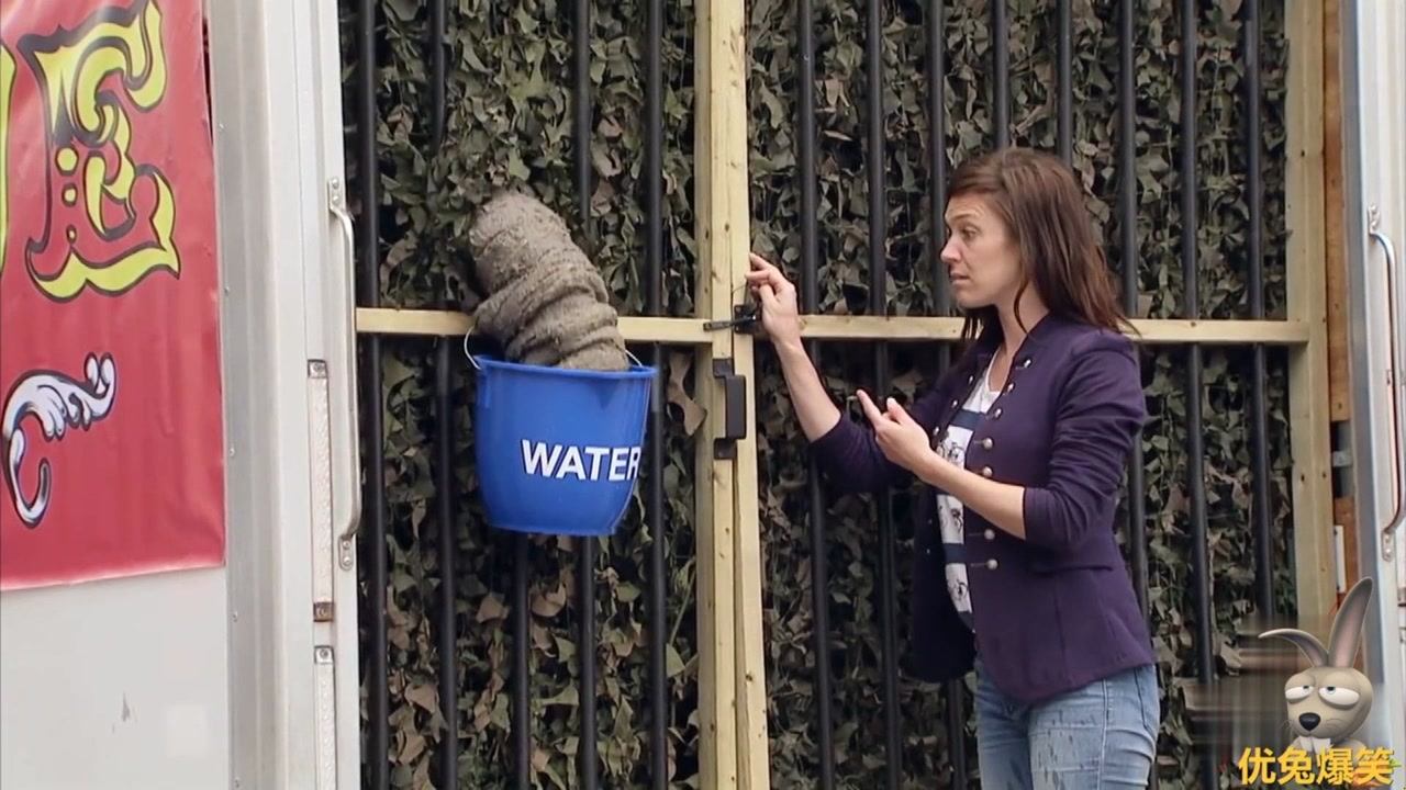 歐美噴水,實(shí)踐優(yōu)化方案解析_尊榮版86.107.106