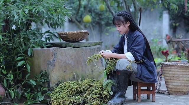 李子柒現(xiàn)象，青少年不應(yīng)盲目崇拜網(wǎng)紅，追求真實夢想之路