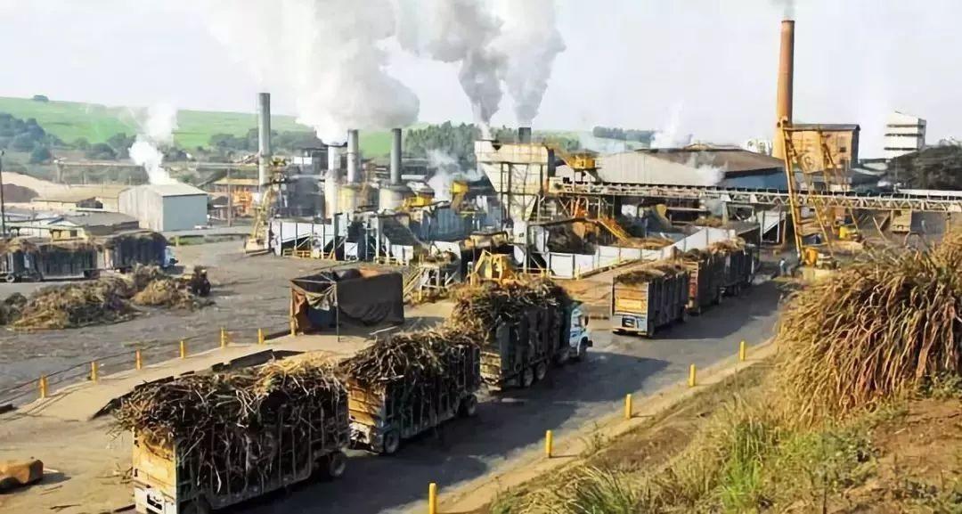 李書妍 第17頁(yè)