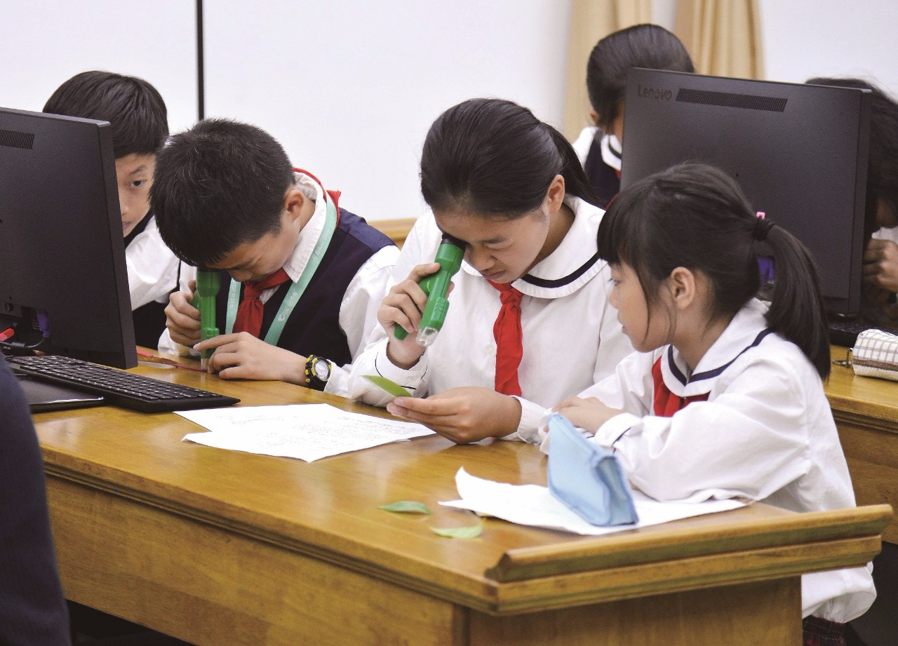 青少年教育課程創(chuàng)新引領關注熱潮