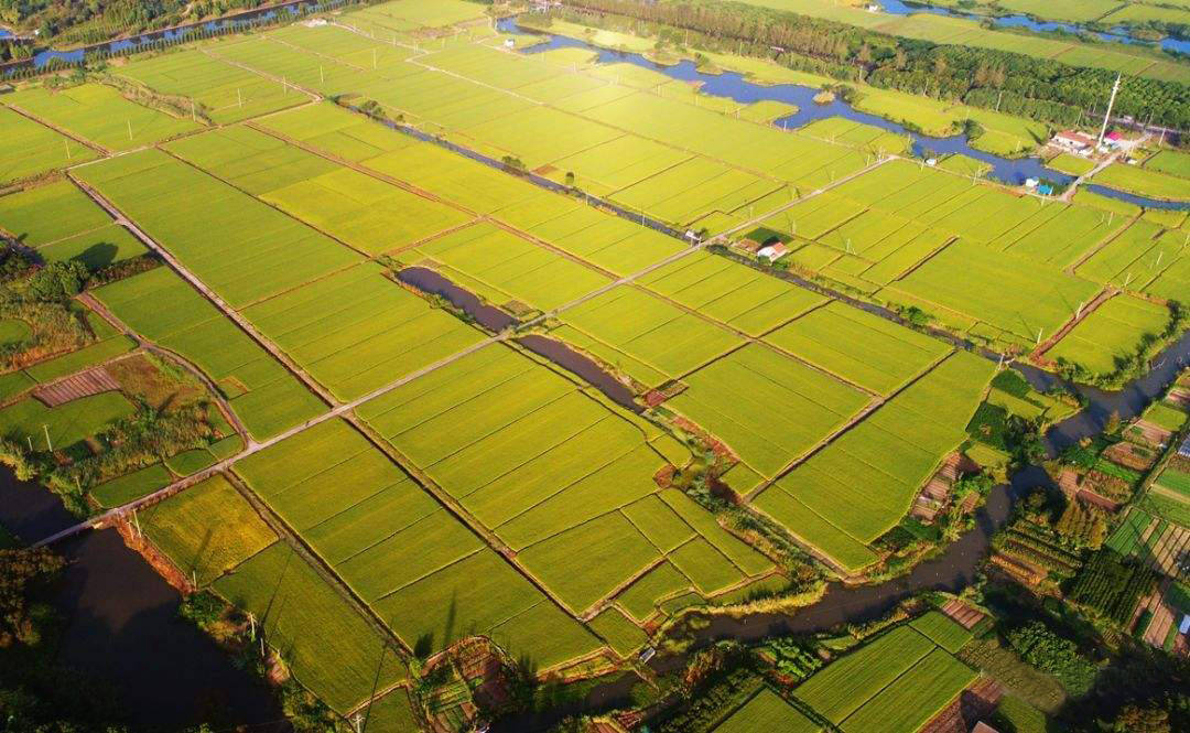 開(kāi)封農(nóng)林牧漁業(yè)產(chǎn)值突破700億，繁榮背后的生態(tài)與發(fā)展驅(qū)動(dòng)力