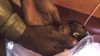 口爆在線,創(chuàng)新戰(zhàn)略優(yōu)化路徑_璀璨版38.71.25