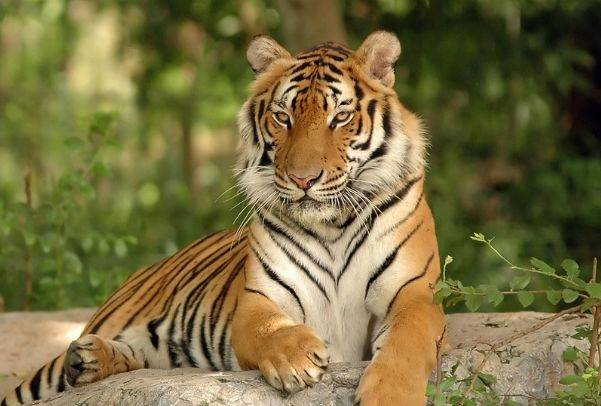 四虎最新網(wǎng)站,高新技術(shù)精準(zhǔn)應(yīng)用_王牌版51.84.72