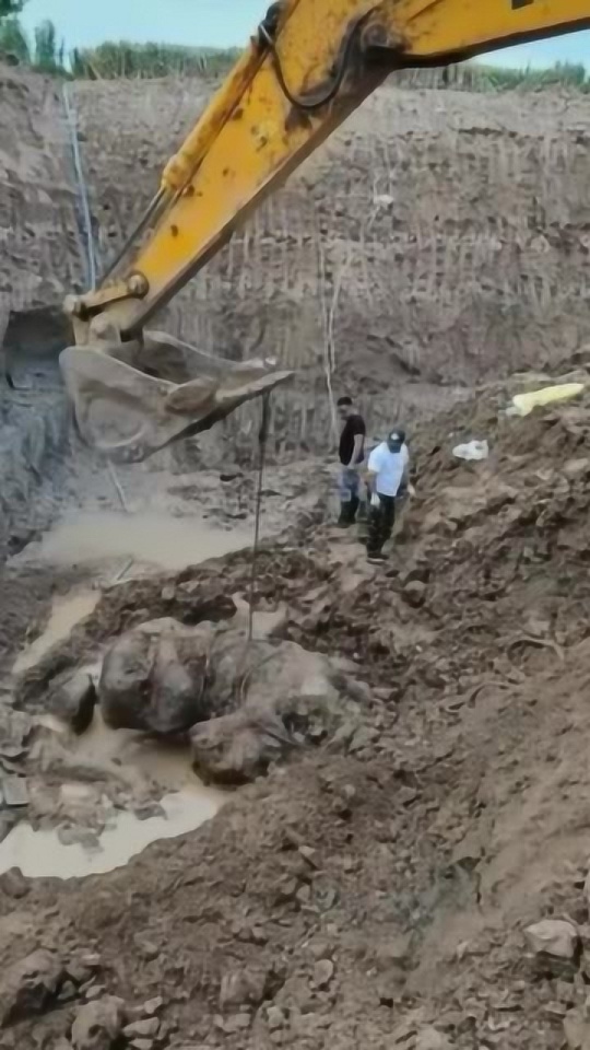 關(guān)于我們 第173頁