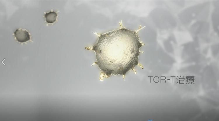 抗癌新藥研發(fā)進(jìn)入臨床階段，希望與挑戰(zhàn)的交匯點(diǎn)探索