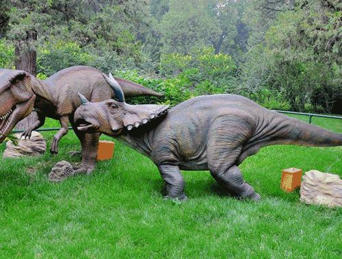 十月消費增長亮點揭秘，四大數(shù)據(jù)解讀消費趨勢