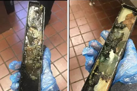 酒店窗臺上的化石，揭開古老秘密的奇遇之旅