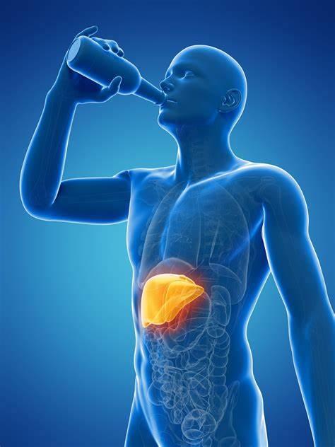 小S戒酒后的自我重塑與新生，尋找生活新平衡