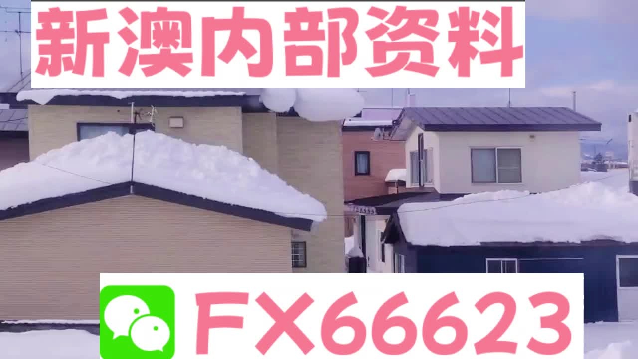 新奧天天精準(zhǔn)資料大全,統(tǒng)計數(shù)據(jù)解釋定義_P版28.028