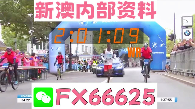 新澳2024年精準(zhǔn)正版資料,穩(wěn)定策略分析_戶(hù)外版02.863