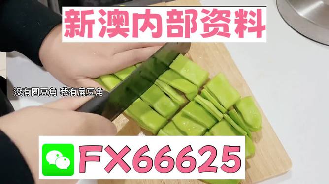 新澳好彩資料免費提供,戰(zhàn)略創(chuàng)新應用實踐_遠志版56.31.99