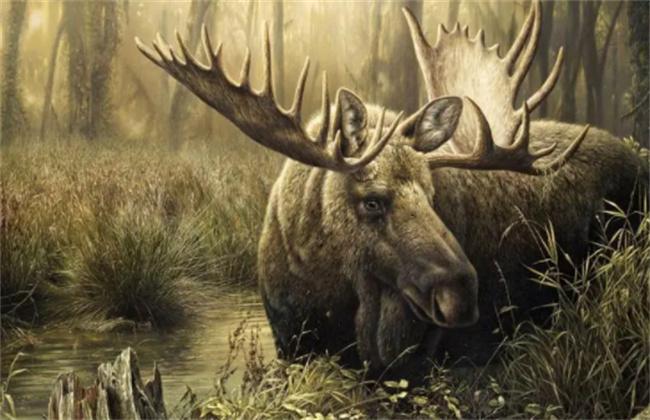 澳門(mén)最準(zhǔn)四不像,精細(xì)化說(shuō)明解析_復(fù)古款38.963