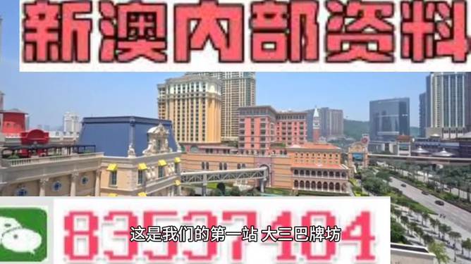 新澳2024年精準資料32期,實踐導向路徑優(yōu)化_睿智版19.34.65