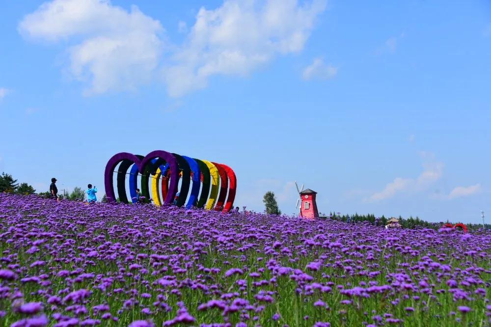 新媒體娛樂多層次滿足觀眾娛樂需求的賦能之道