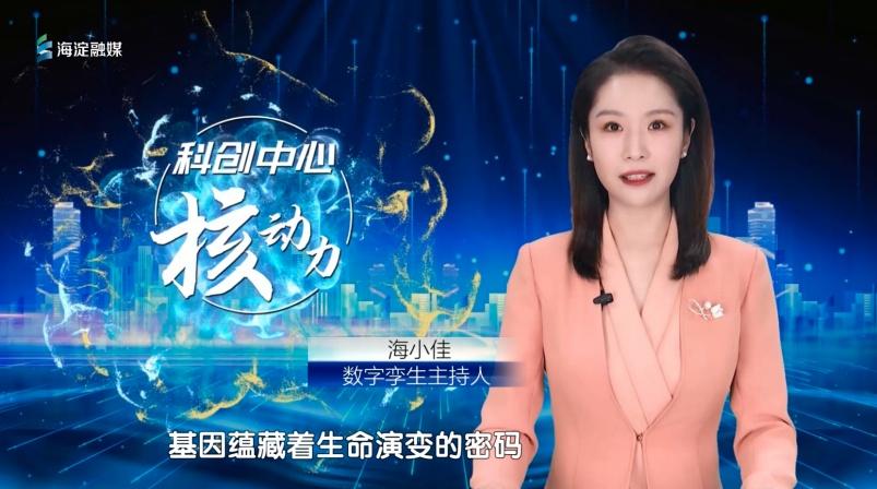 智慧城市推動(dòng)文化娛樂(lè)場(chǎng)景多元化創(chuàng)新