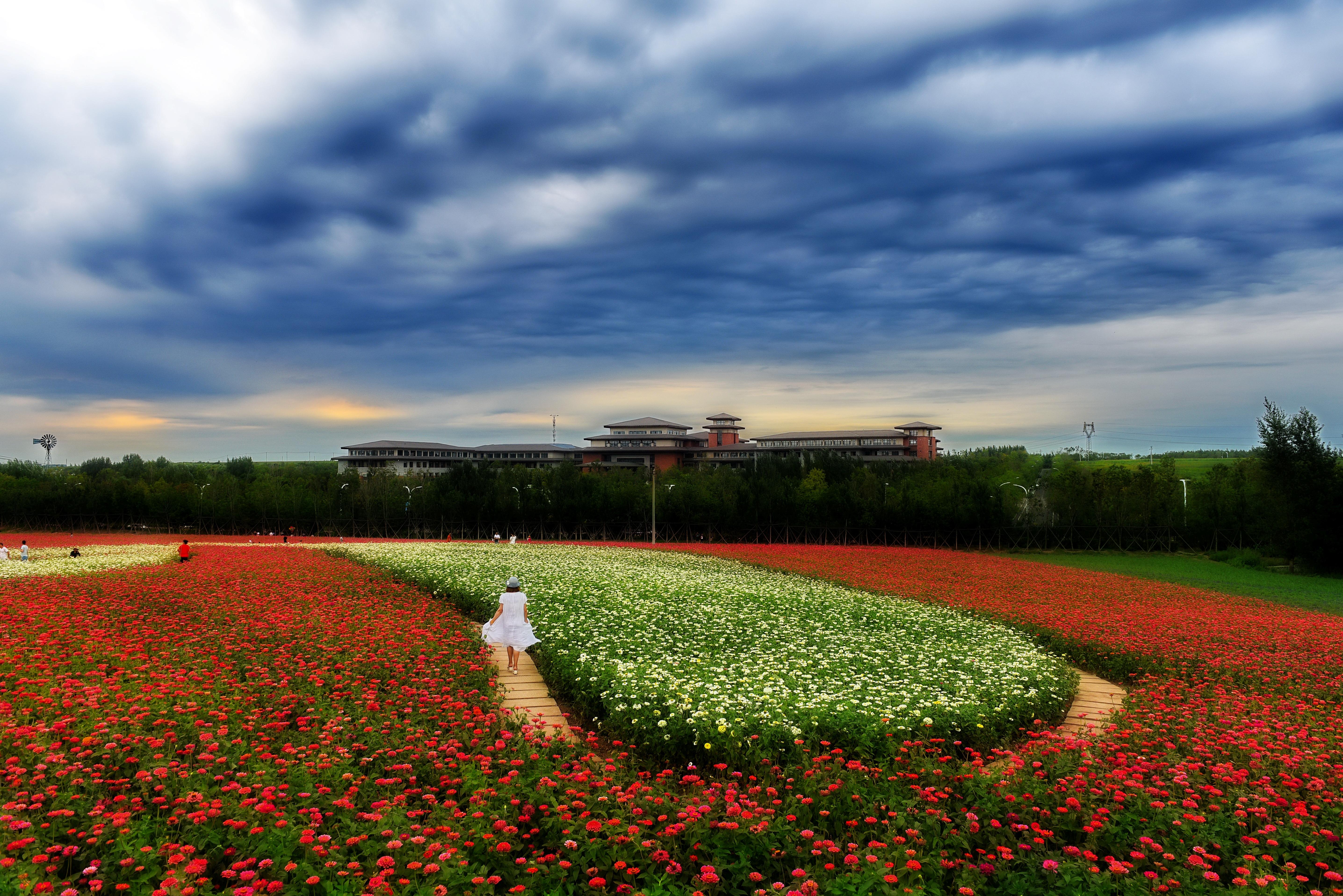 墨煙柳 第16頁(yè)