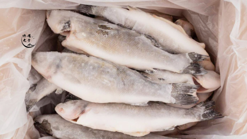 魚(yú)類(lèi)冷凍儲(chǔ)存的時(shí)間限制與保鮮原則遵守指南