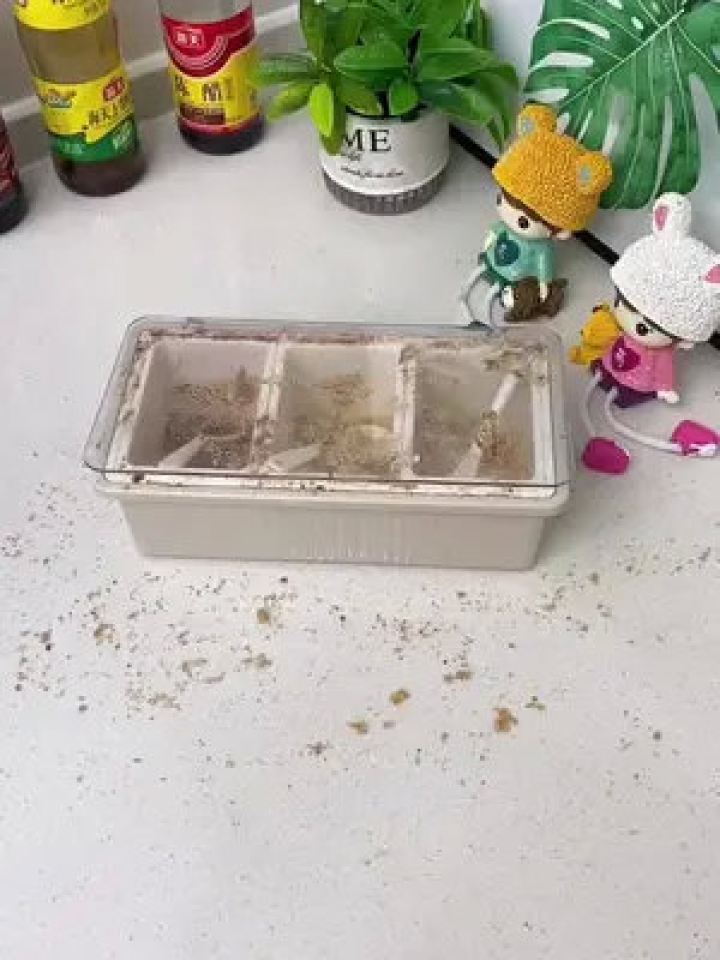 調(diào)料粉類防潮防結(jié)塊攻略