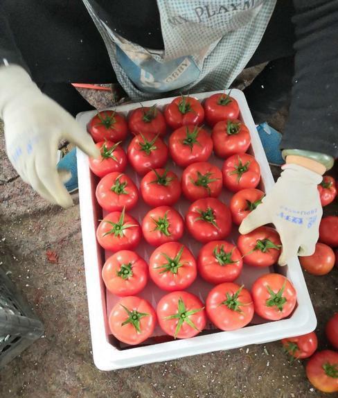 冷凍食品儲存溫度指南，保障食品質(zhì)量與安全的最佳溫度管理策略