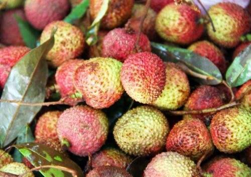 如何避免水果儲存時的磕碰損壞，細(xì)致探討儲存策略與保護(hù)措施的全面指南