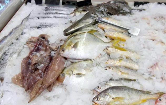 魚(yú)肉冷凍儲(chǔ)存的最佳時(shí)間解析