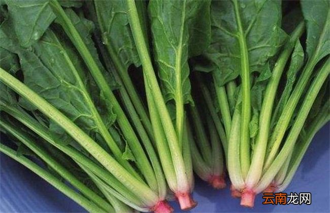 如何有效儲存菠菜以防變質(zhì)發(fā)黃？