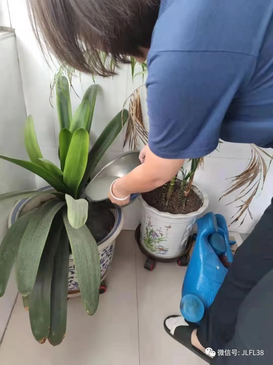 家庭實(shí)踐綠色環(huán)保生活的方法與理念