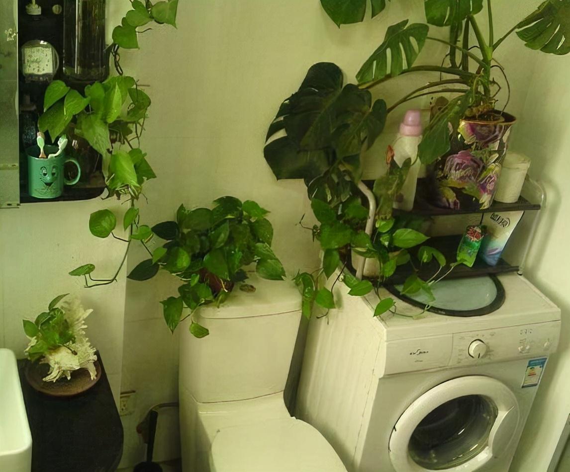 探尋生活美好之道，如何學(xué)會(huì)愉悅自己，遠(yuǎn)離生活困擾