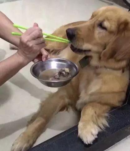 如何成為積極人士并降低生活負(fù)面影響？