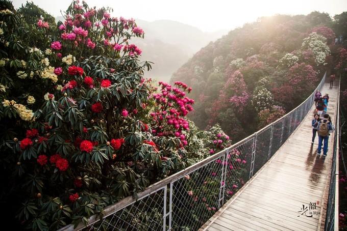 定期放松，擁抱生活，遠離壓力之道