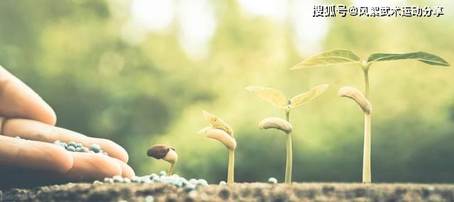 獨(dú)處時(shí)光，尋找內(nèi)心寧靜與力量的契機(jī)