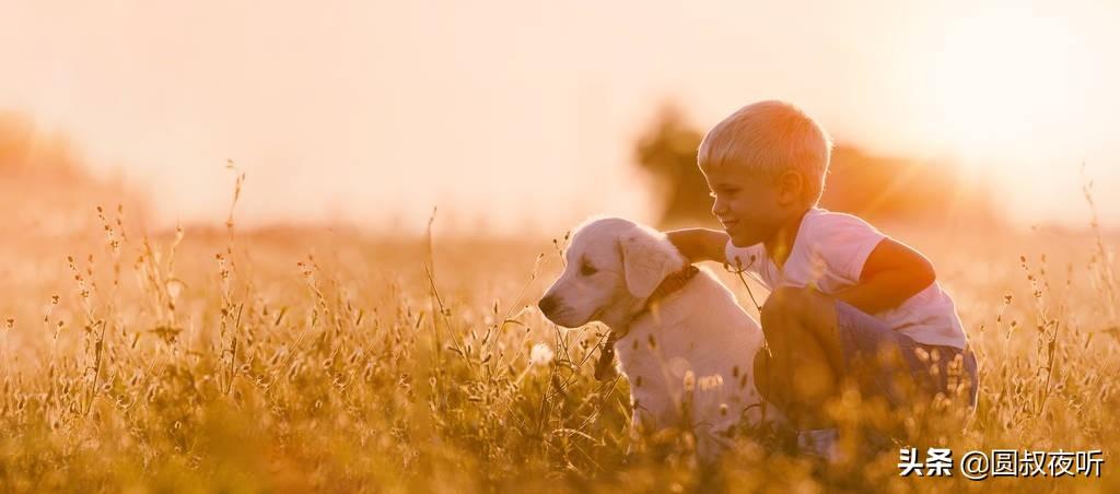 調(diào)整心態(tài)應(yīng)對(duì)生活挑戰(zhàn)與不如意，實(shí)用建議與策略