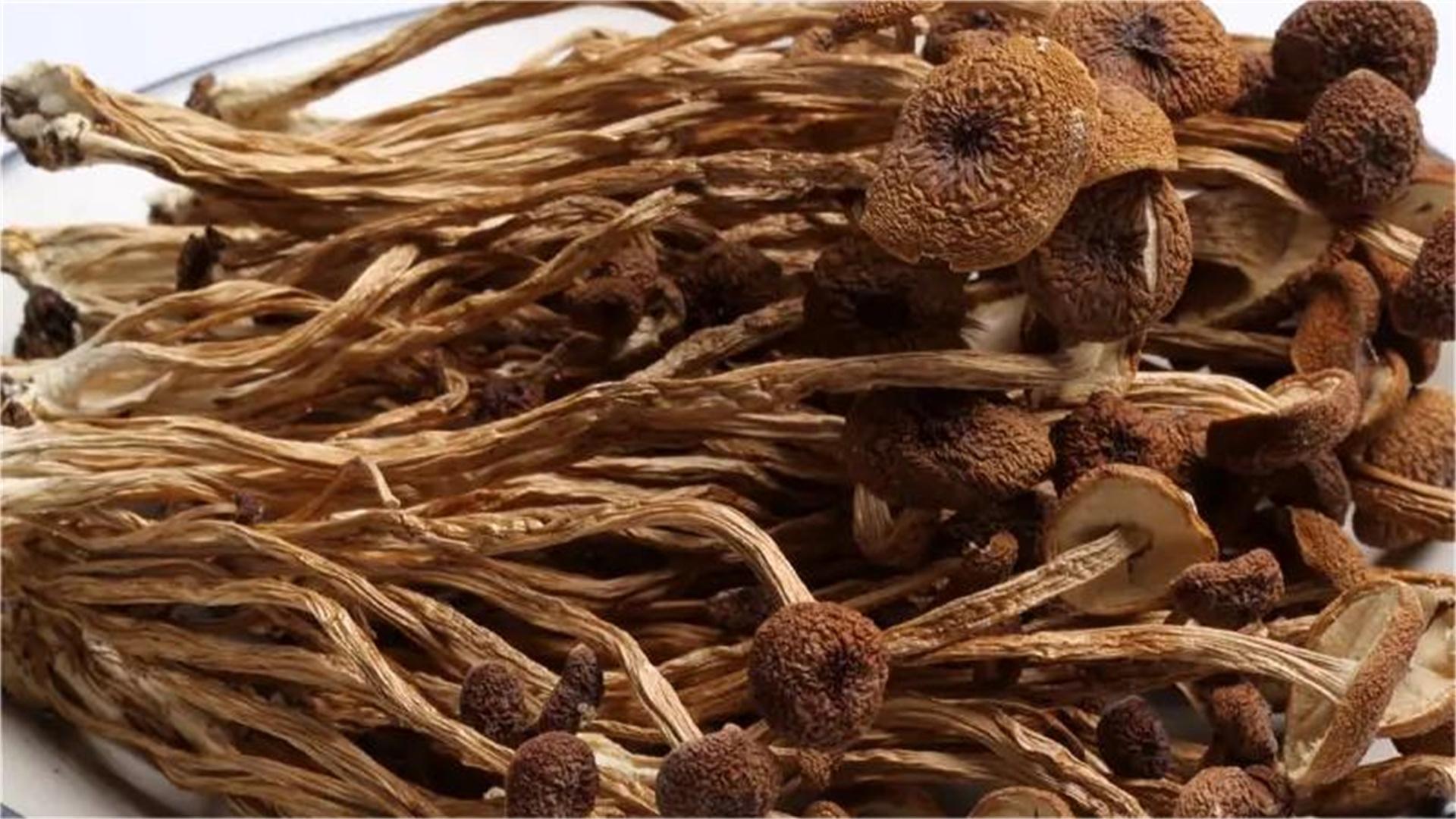 養(yǎng)生食譜與食材搭配助你增強體質(zhì)