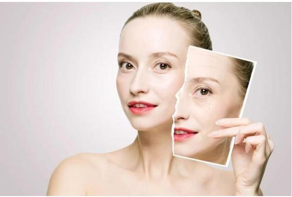 養(yǎng)生食譜助力延緩衰老進程