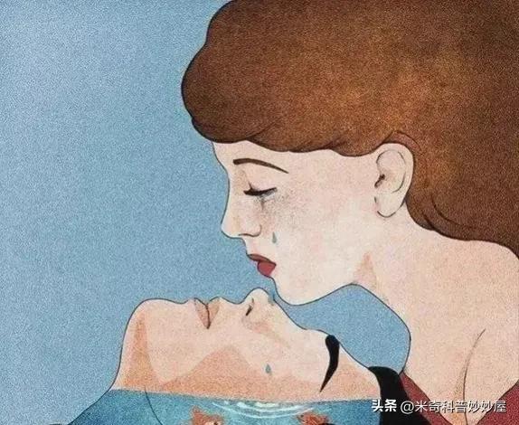 養(yǎng)生食譜，助力男性維持體力與健康的秘訣