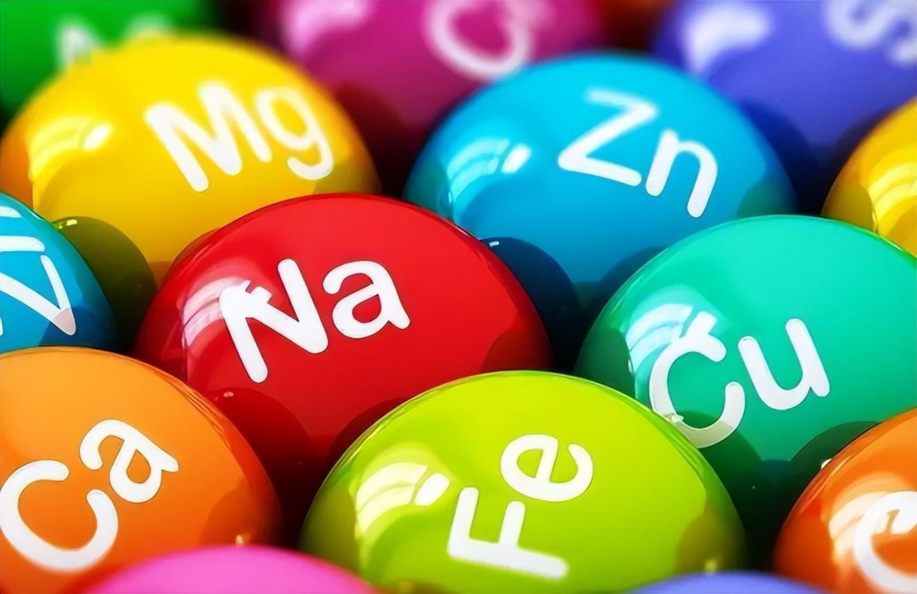 食療食譜助力骨骼健康，增強(qiáng)骨密度必備良方