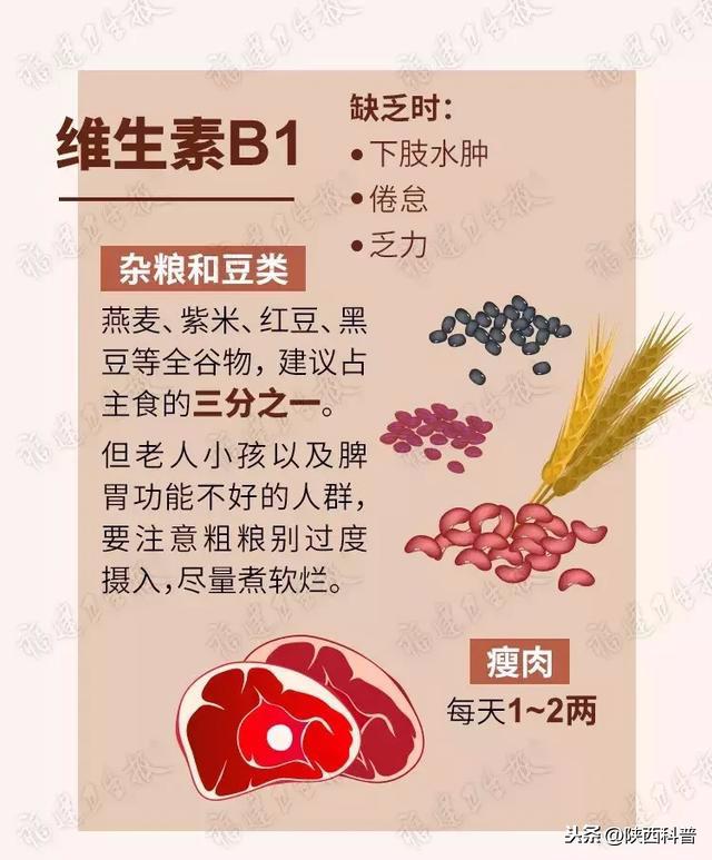 食療指南，如何通過飲食增加體內(nèi)維生素攝入量的秘訣