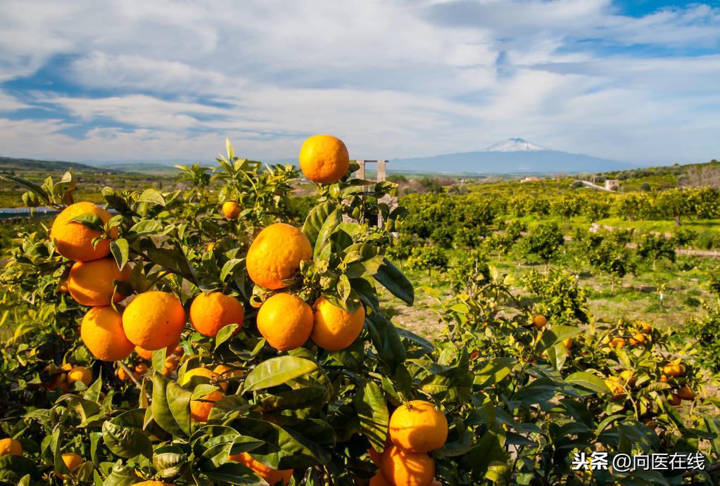 如何通過食物增強免疫細(xì)胞活力