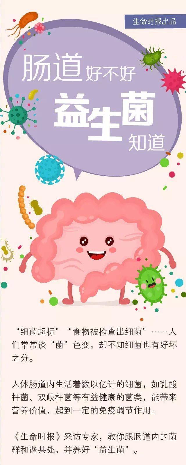 養(yǎng)生食譜，增強腸道菌群的健康之路指南