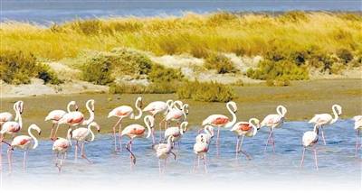 食療食譜，促進(jìn)皮膚自我修復(fù)秘訣