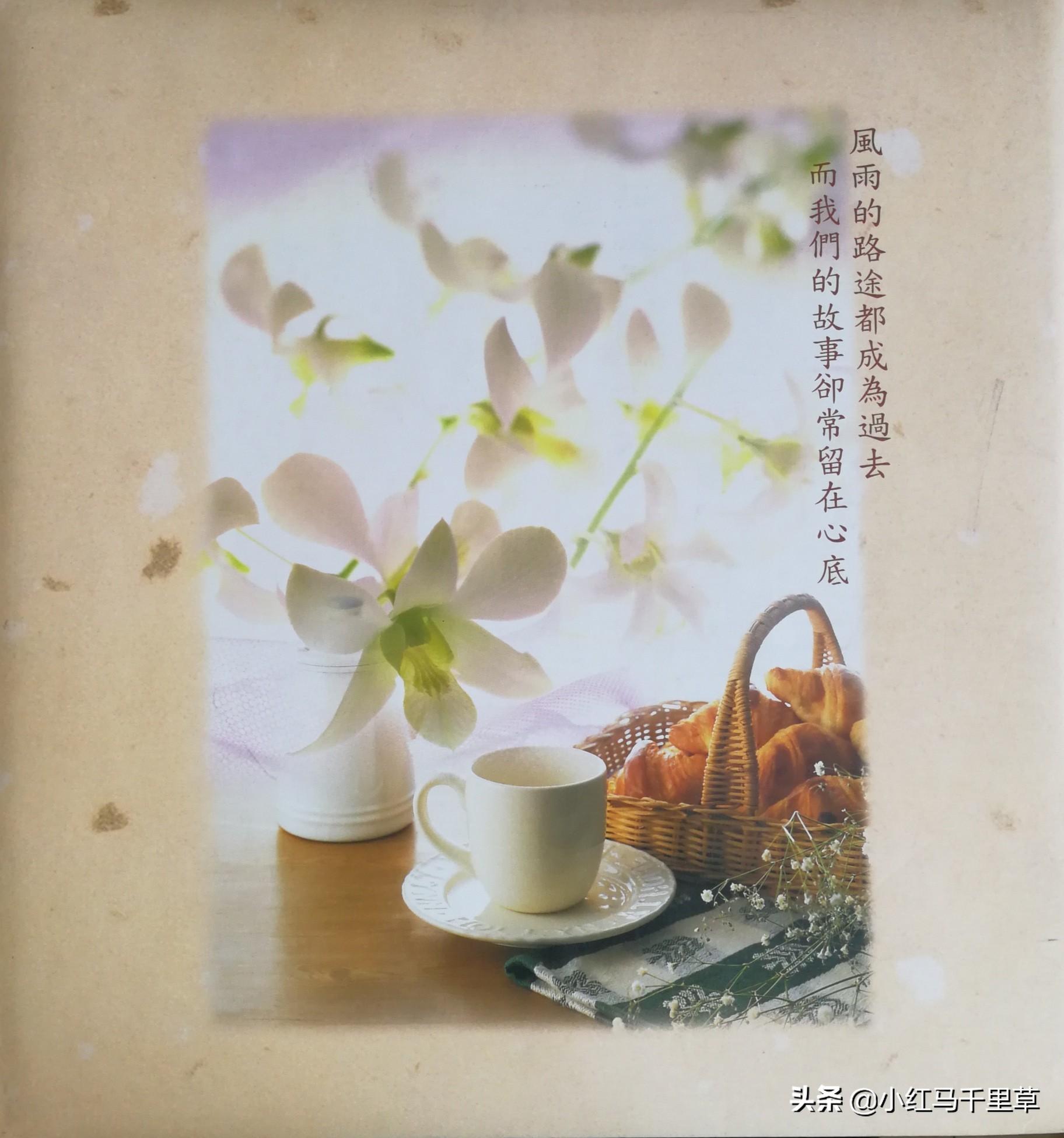 多元文化背景下家庭教育的深遠(yuǎn)影響與角色